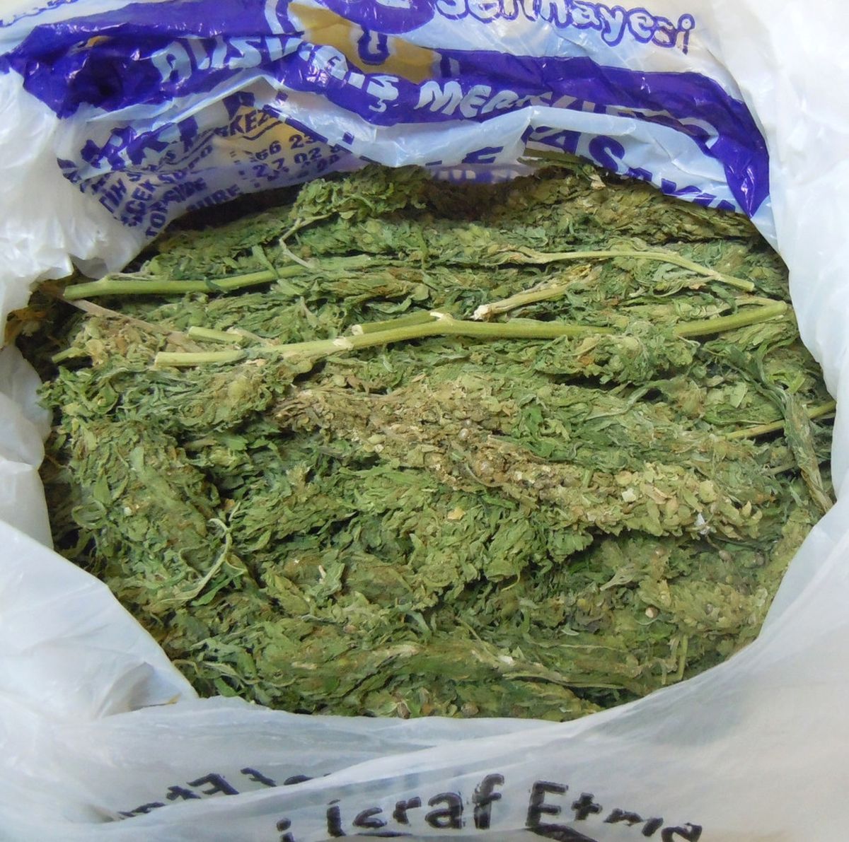 Borçka\'da Kubar Esrar Ele Geçirildi