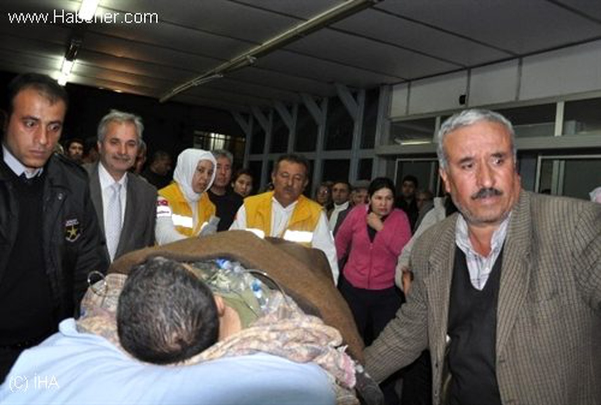 Kozan\'da Çam Ağacının Altında Kalan Köy Muhtarı Yaralandı