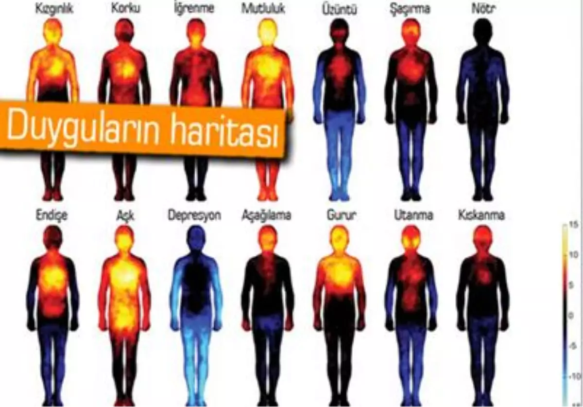 Duygularımızı Vücudumuzun Nerelerinde Hissediyoruz?