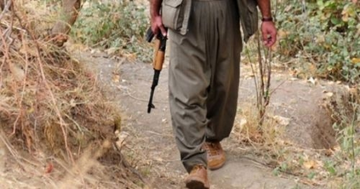 Hakkari\'de 2 Terörist Teslim Oldu