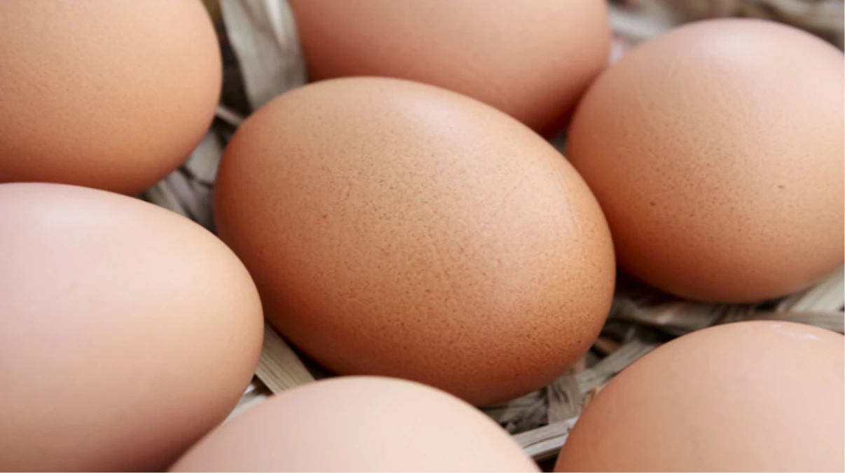 Kişi Başına Yumurta Tüketimimiz 200 Adede Yaklaştı