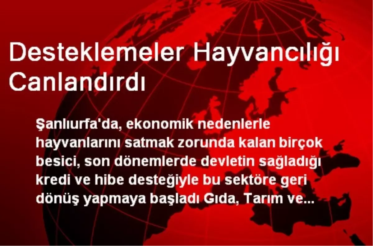 Desteklemeler Hayvancılığı Canlandırdı