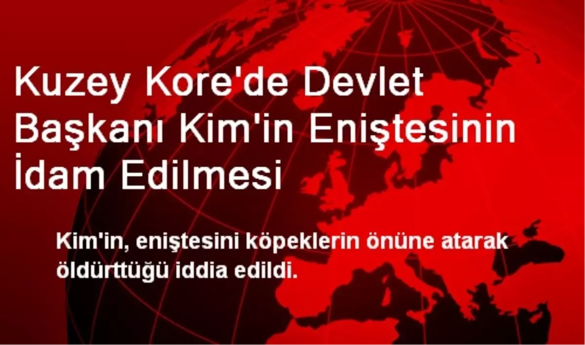 Kuzey Kore\'de Devlet Başkanı Kim\'in Eniştesinin İdam Edilmesi