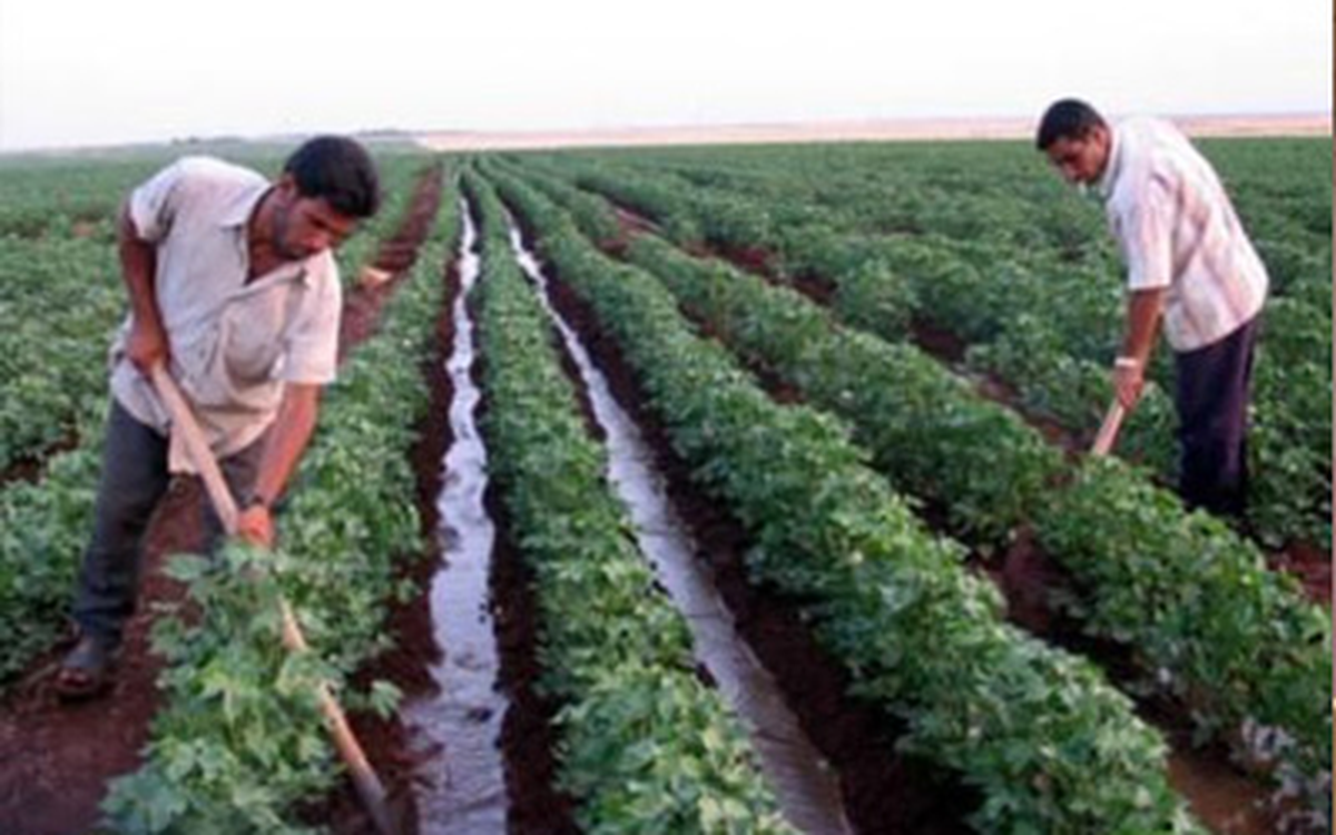 Çiftçilere Bilinçli Sulama İçin Mektup Yollandı