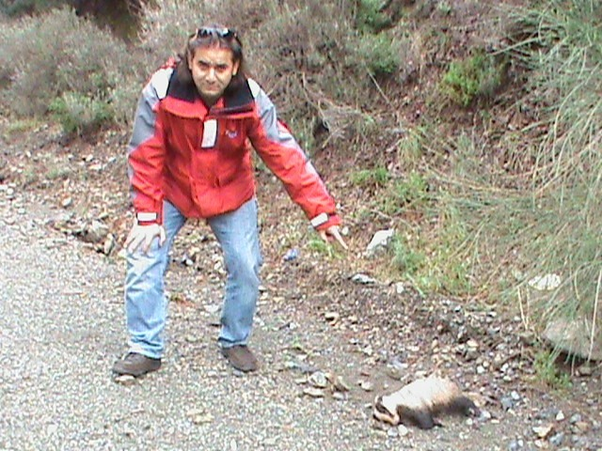 Doğaya Bırakılan Zehirli Yiyecekler Hayvanları Katlediyor
