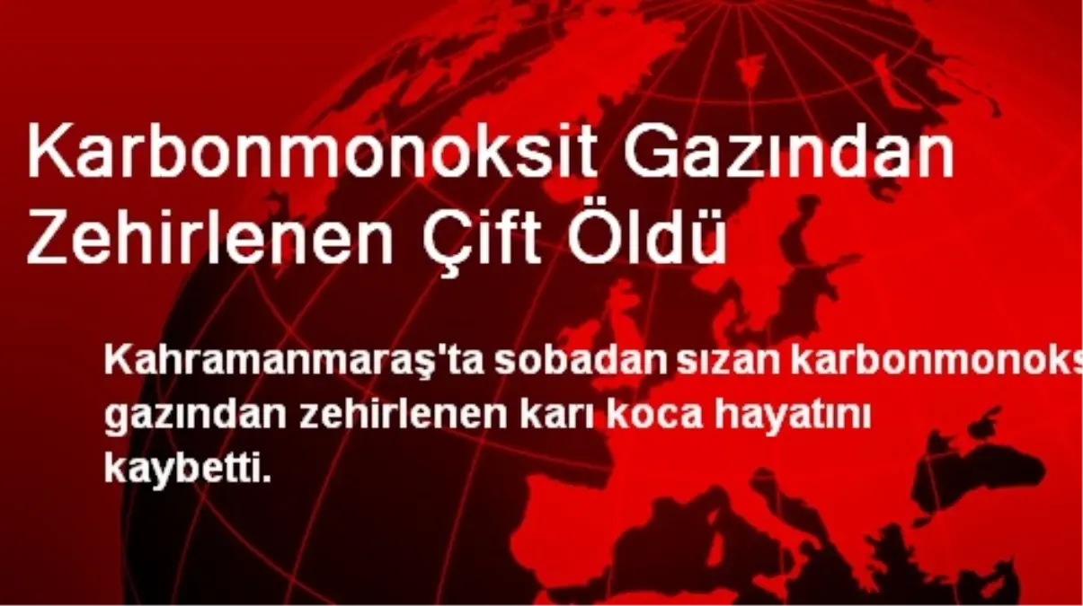 Karbonmonoksit Gazından Zehirlenen Çift Öldü