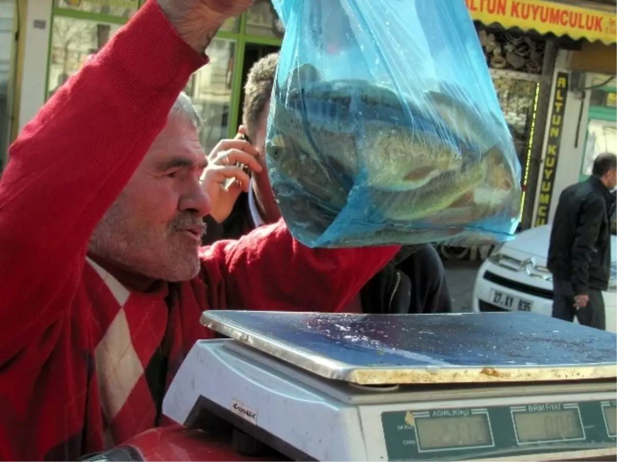 Arabanlı İlçesinde Dar Gelirli Aileler Balık Eti Tüketiyor