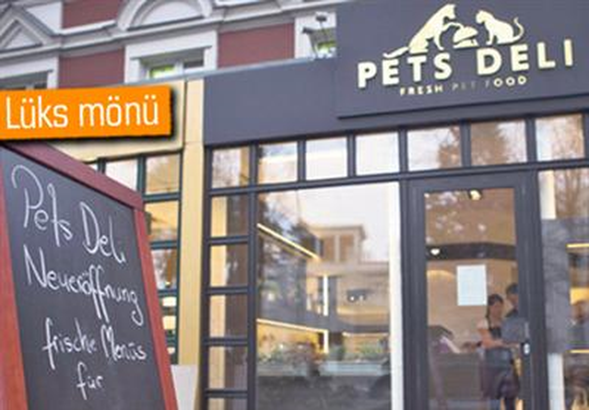 Köpekler İçin Gurme Restoran