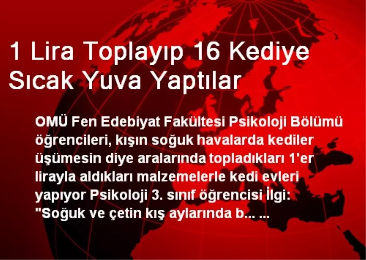 1 Lira Toplayıp 16 Kediye Sıcak Yuva Yaptılar