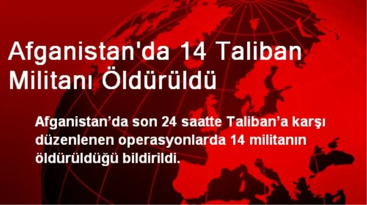 Afganistan\'da 14 Taliban Militanı Öldürüldü