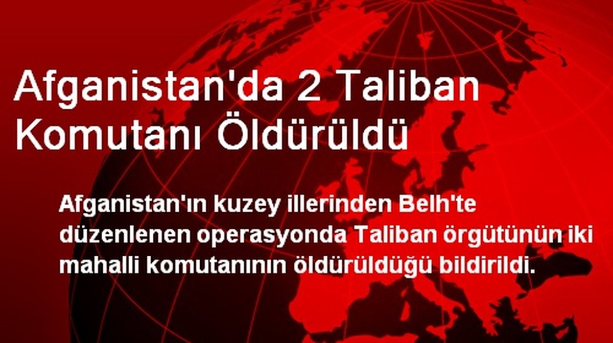 Afganistan\'da 2 Taliban Komutanı Öldürüldü