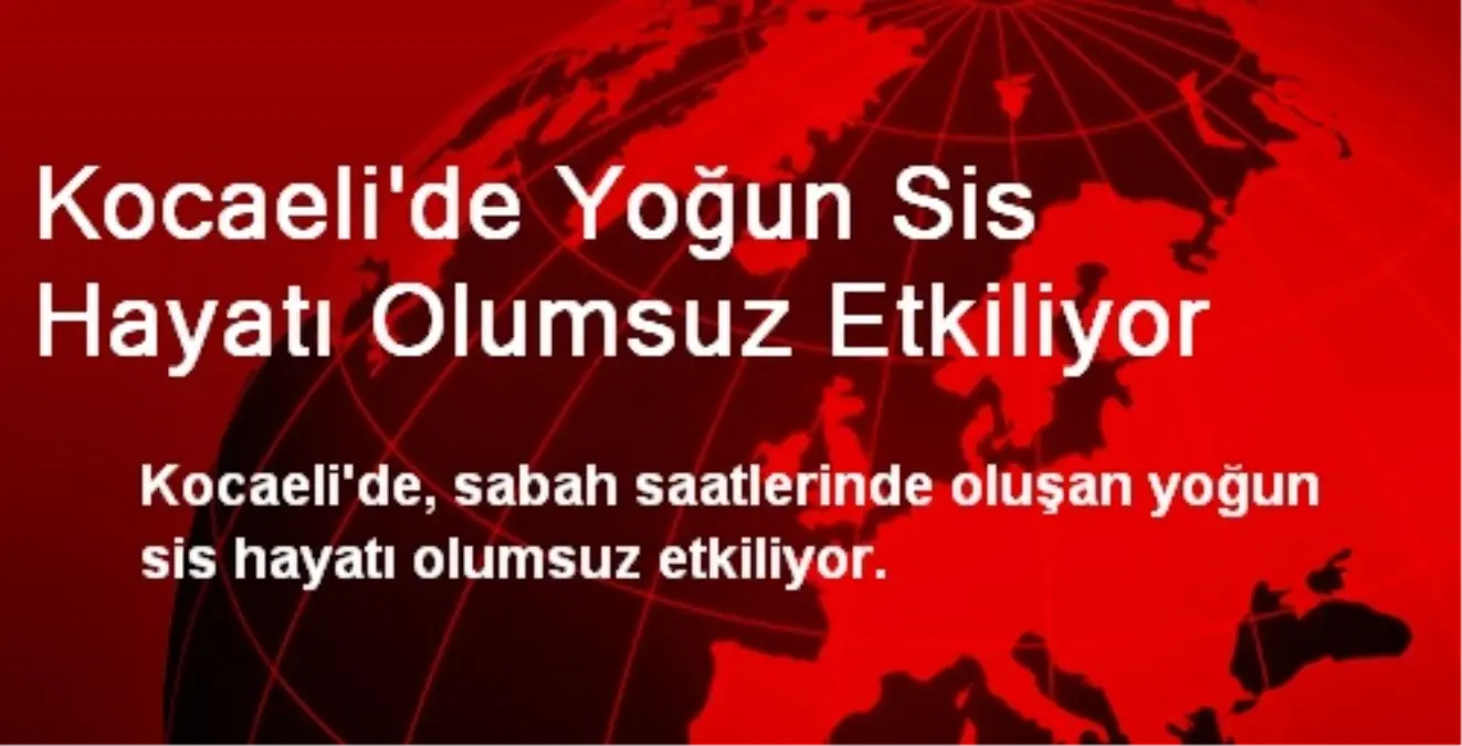 Kocaeli\'de Yoğun Sis Hayatı Olumsuz Etkiliyor