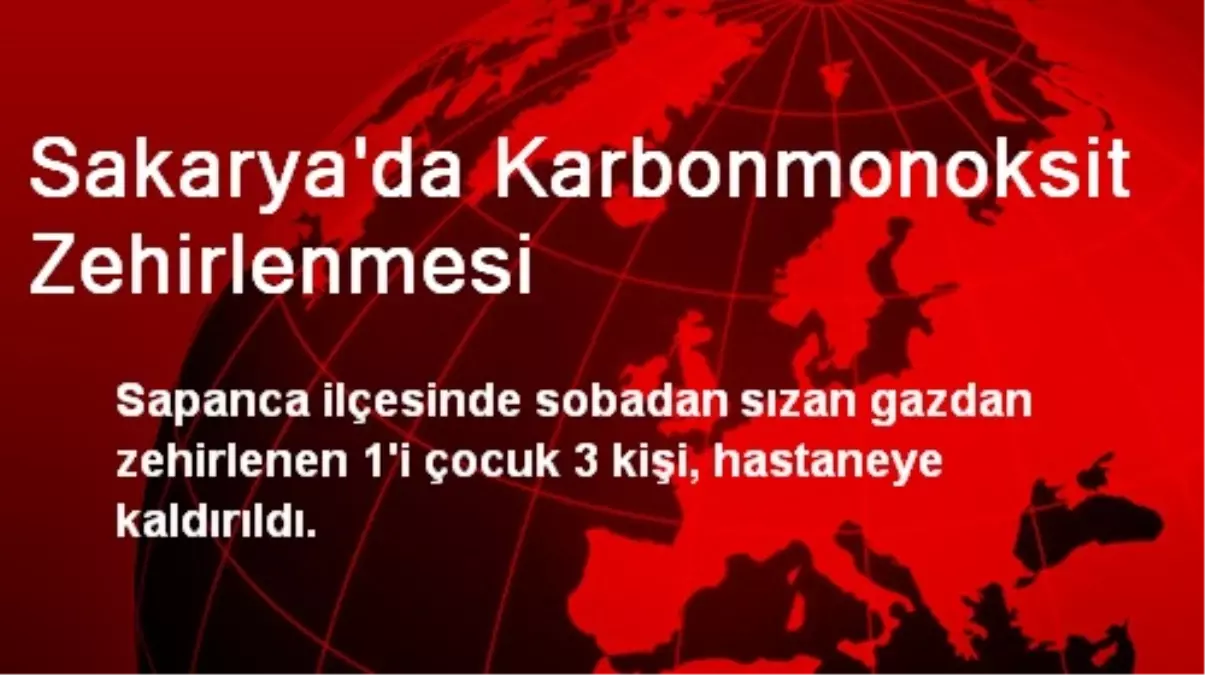 Sakarya\'da Karbonmonoksit Zehirlenmesi