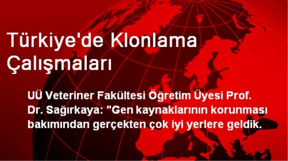 Türkiye\'de Klonlama Çalışmaları