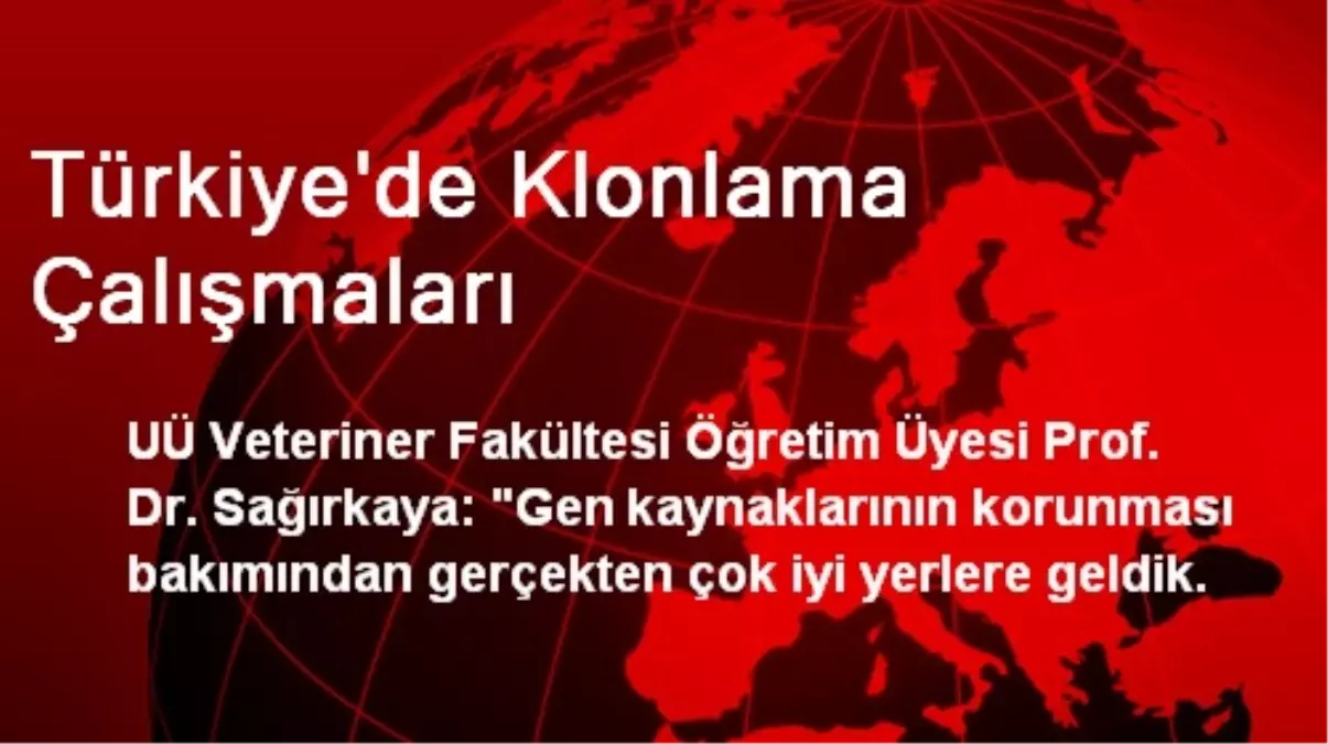 Türkiye\'de Klonlama Çalışmaları