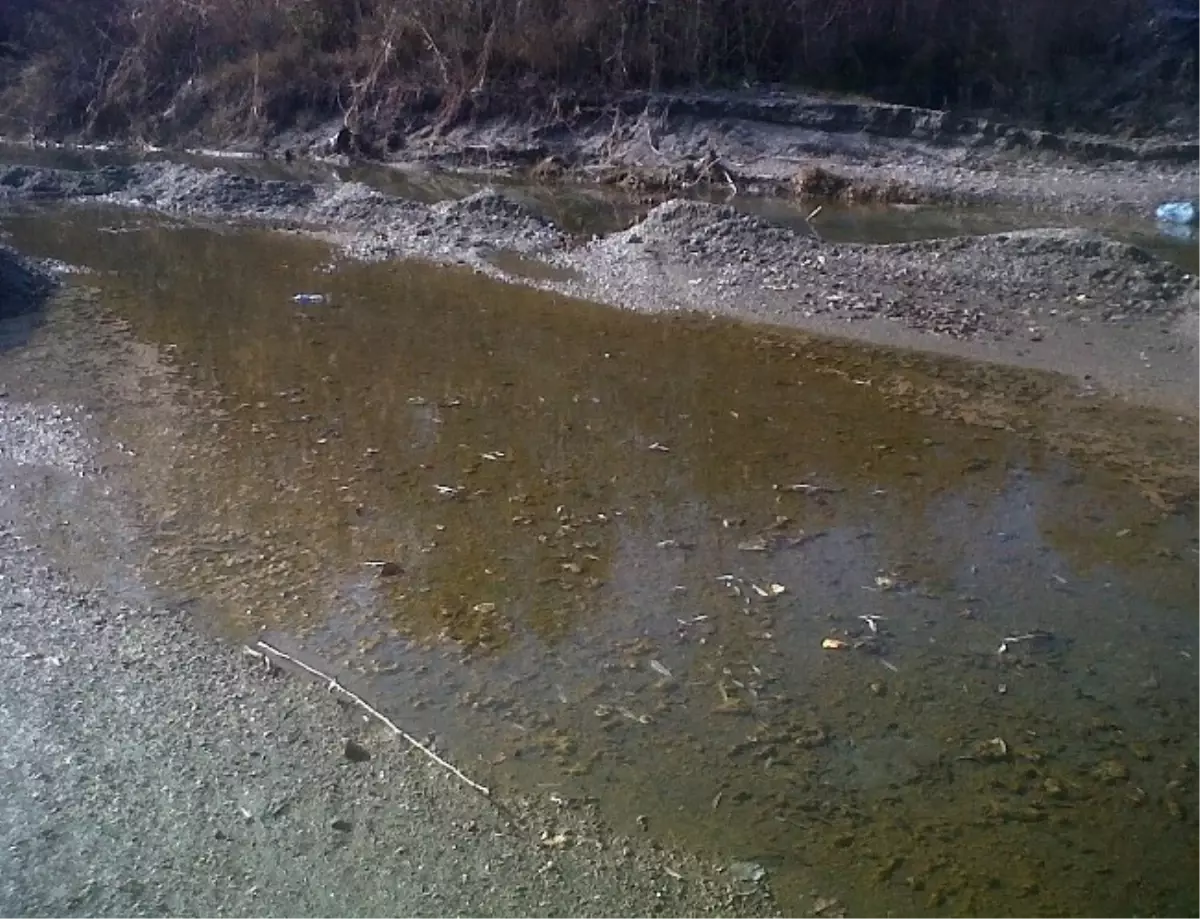 Sapanca Gölü İçin Meclis Araştırma Önergesi Verildi