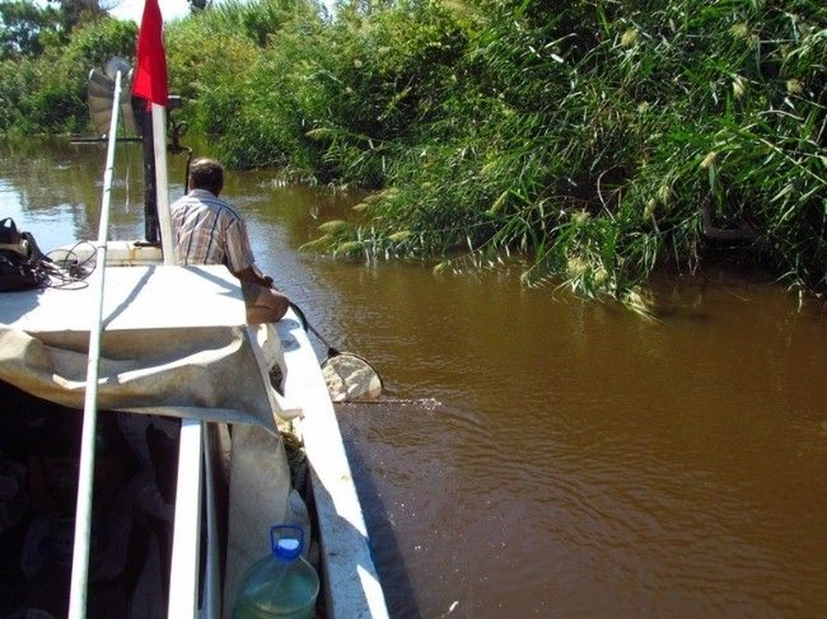 Büyük Menderes Nehri\'ndeki Kirlilik