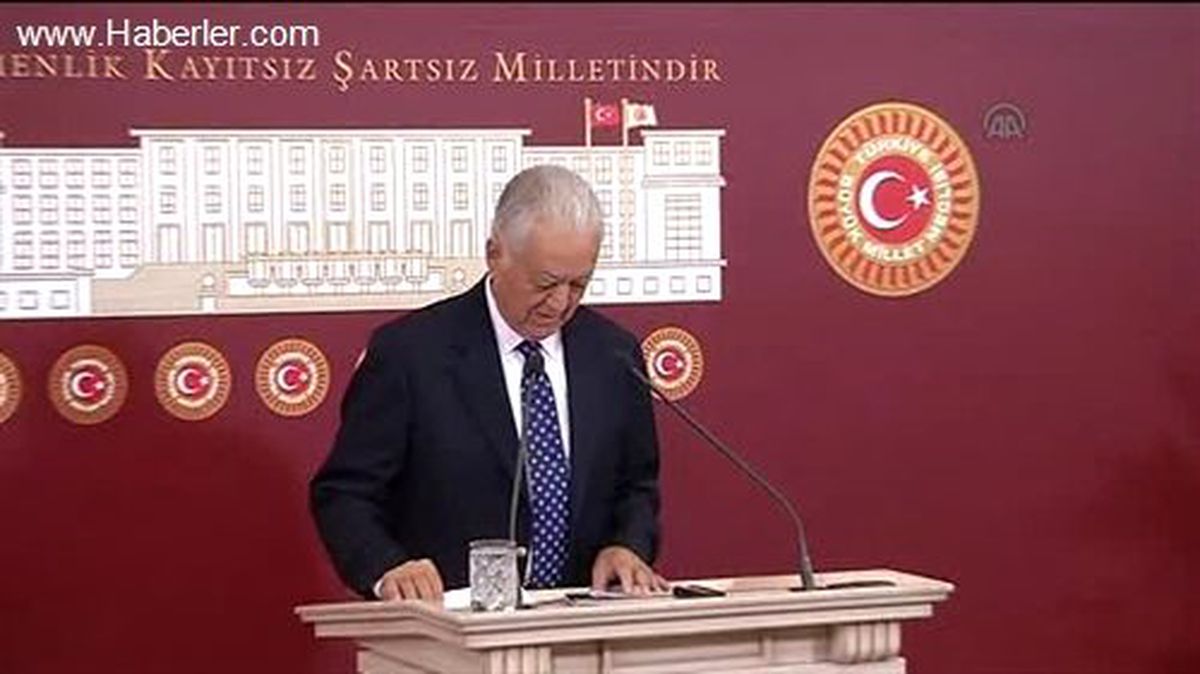 CHP Genel Başkan Yardımcısı Loğoğlu -