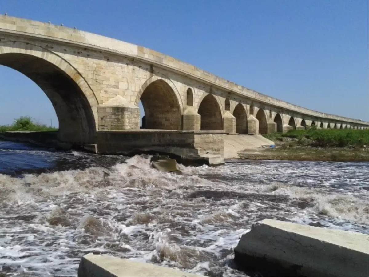 Ergene Nehri Kanser Saçıyor