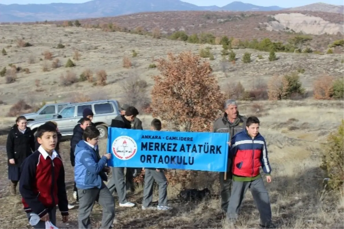 Yaban Hayvanlarına Yem Desteği