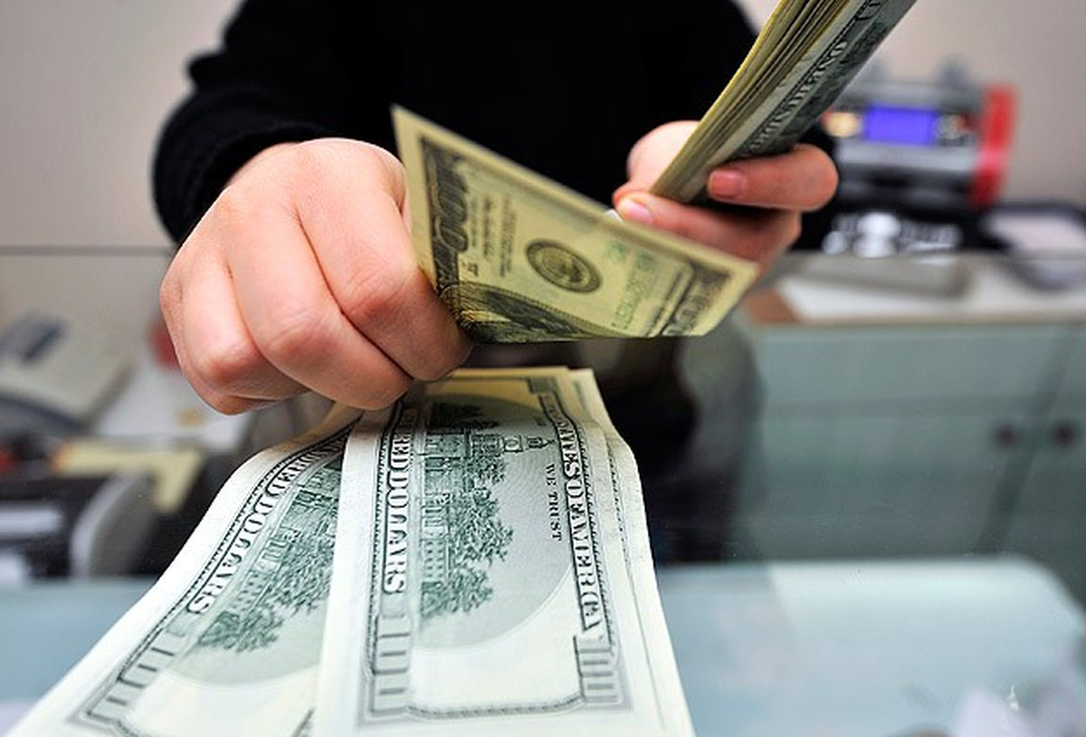 FT: Türkler 20 Milyar Dolar Döviz Satın Aldı
