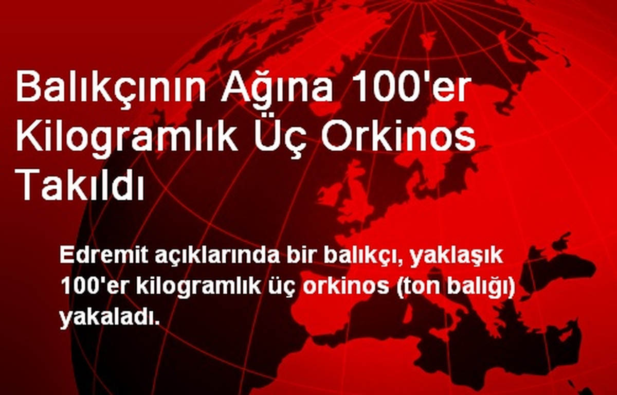 Balıkçının Ağına 100\'er Kilogramlık Üç Orkinos Takıldı
