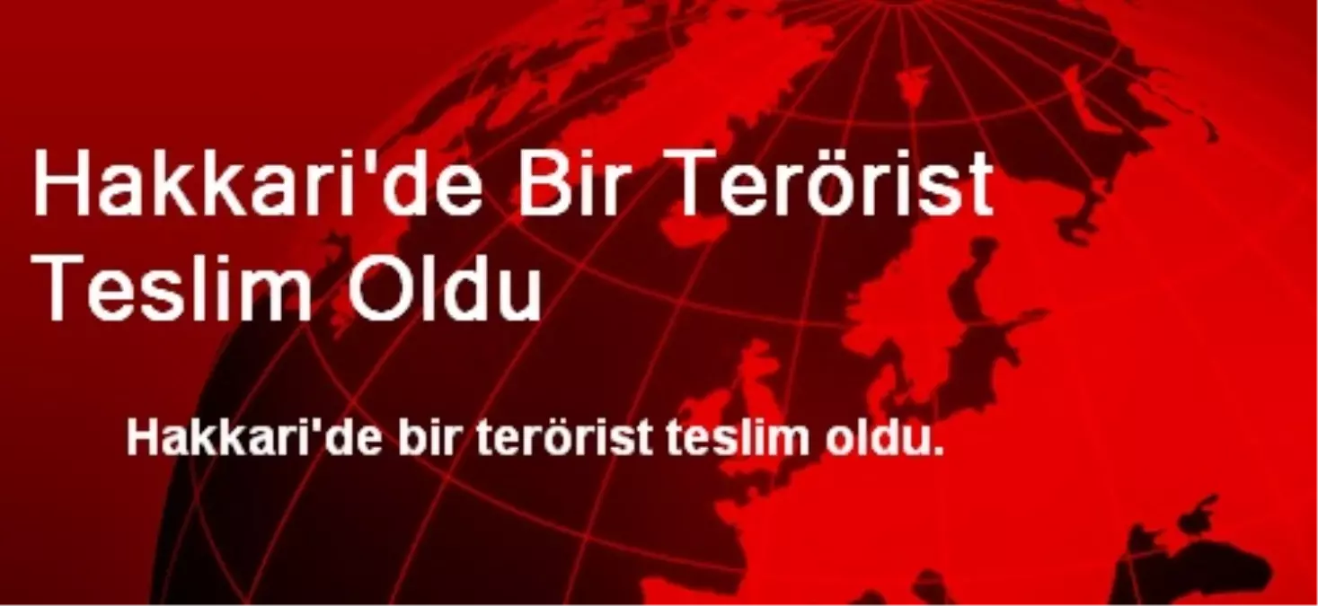 Hakkari\'de Bir Terörist Teslim Oldu