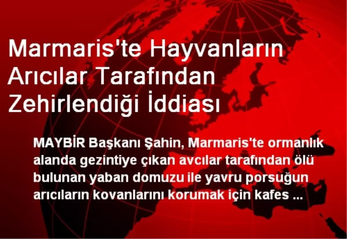 Marmaris\'te Hayvanların Arıcılar Tarafından Zehirlendiği İddiası