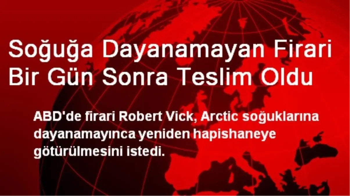 Soğuğa Dayanamayan Firari Bir Gün Sonra Teslim Oldu