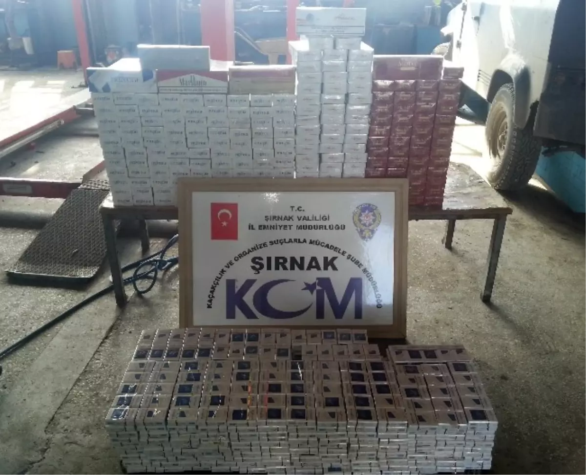 Şırnak\'ta 12 Bin 800 Paket Kaçak Sigara Ele Geçirildi