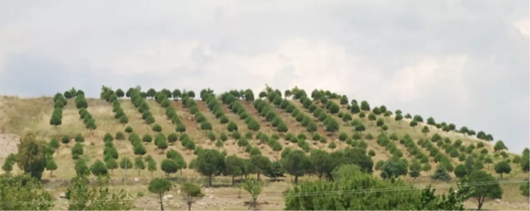 Tarım Arazilerinde Madencilik Faaliyeti İçin "Kamu Yararı" Aranacak