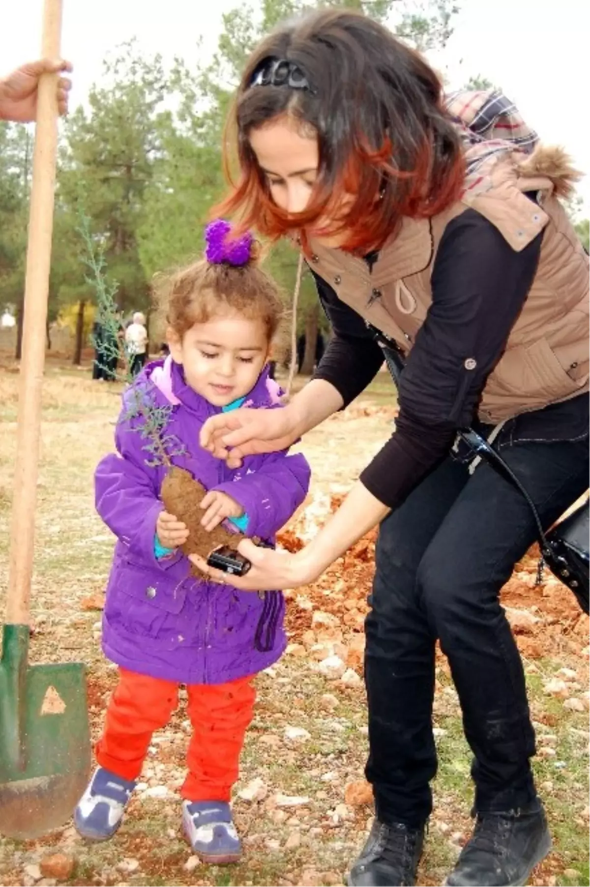 Adıyaman\'da 1 Milyon 400 Bin Fidan Toprakla Buluştu