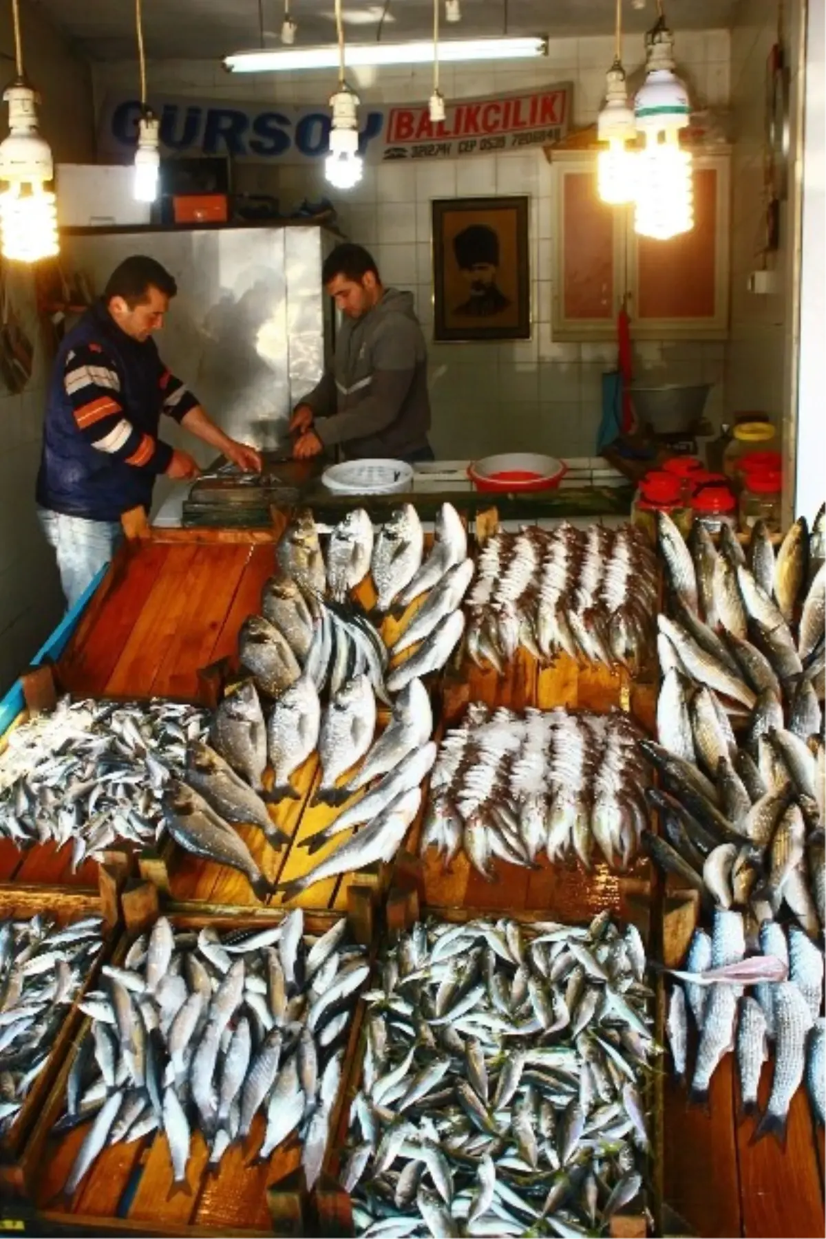 Balık Fiyatları Yeni Yılda Yüksek Seyrediyor