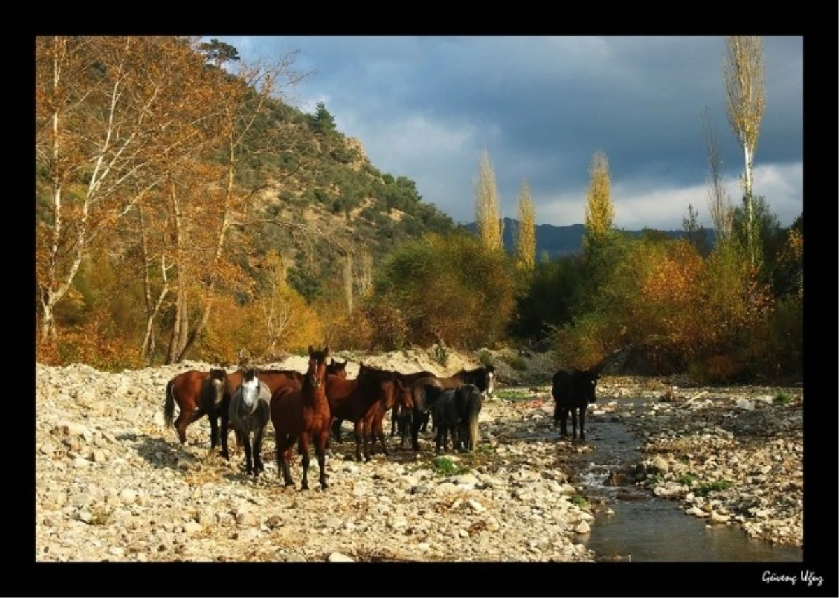 Burhaniyeli Fotoğrafçılar Ürgüp\'te Sergi Açacak