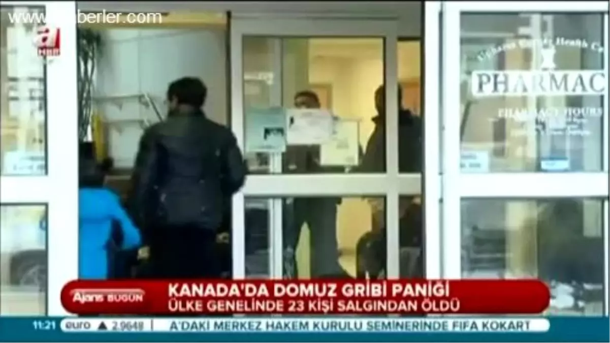 Domuz Gribi 23 Can Aldı