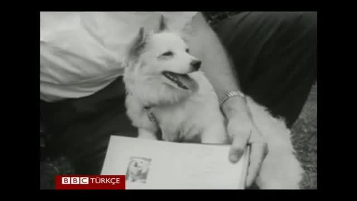 Kuruşçev\'in, Düşmanı Kennedy\'ye Hediyesi