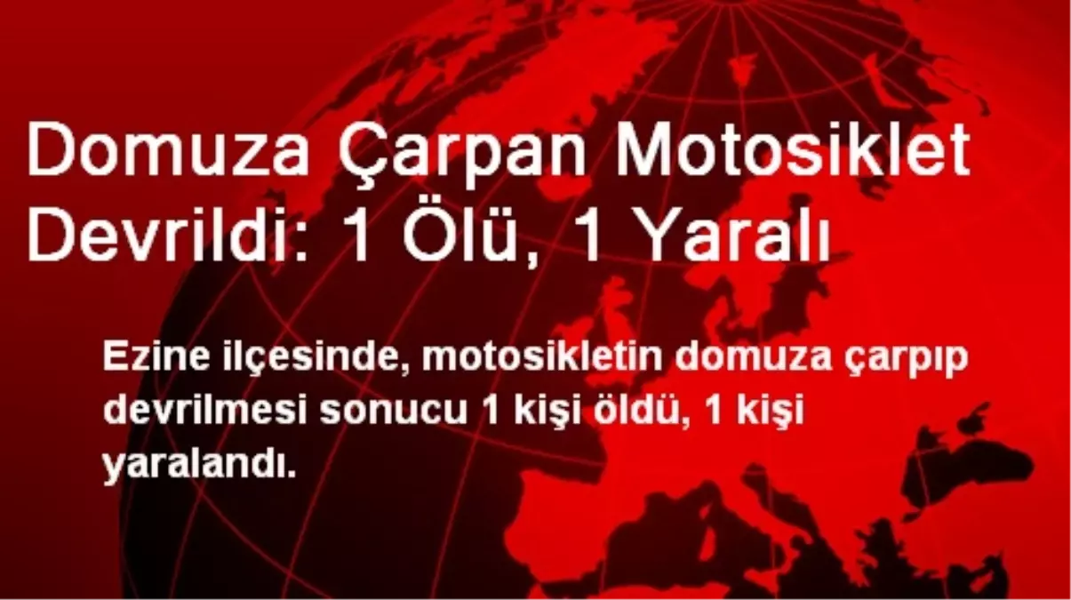 Domuza Çarpan Motosiklet Devrildi: 1 Ölü, 1 Yaralı