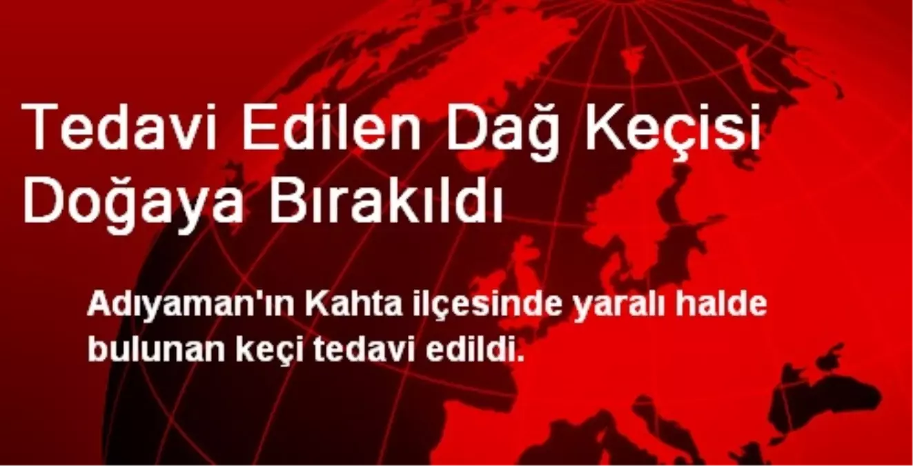 Tedavi Edilen Dağ Keçisi Doğaya Bırakıldı