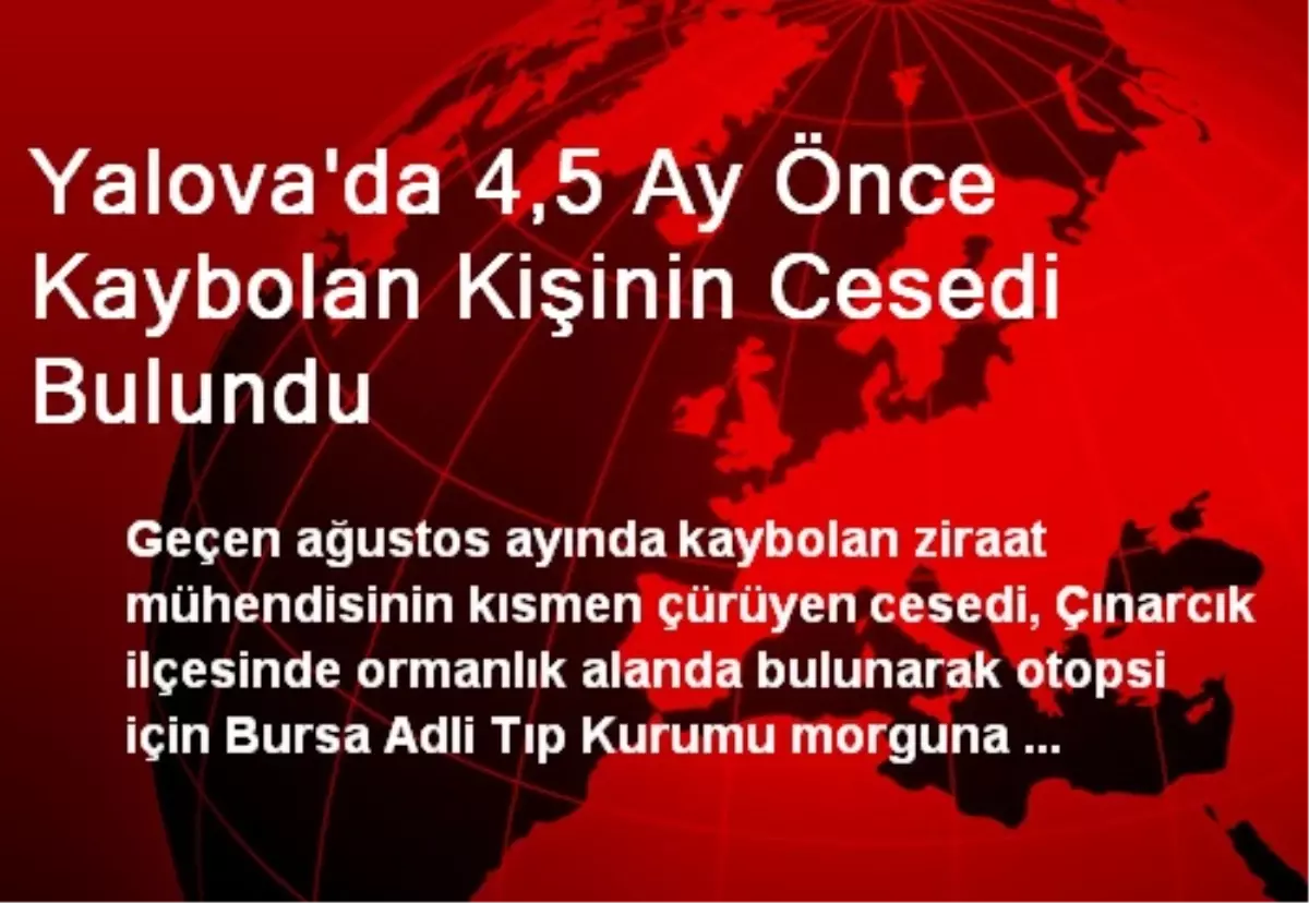 Yalova\'da 4,5 Ay Önce Kaybolan Kişinin Cesedi Bulundu