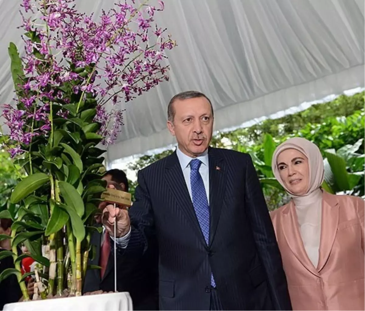 Erdoğan ve Eşinin İsmi Çiçeğe Verildi