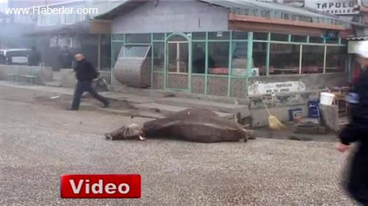 Düzce\'de Sis Kazaları da Beraberinde Getirdi