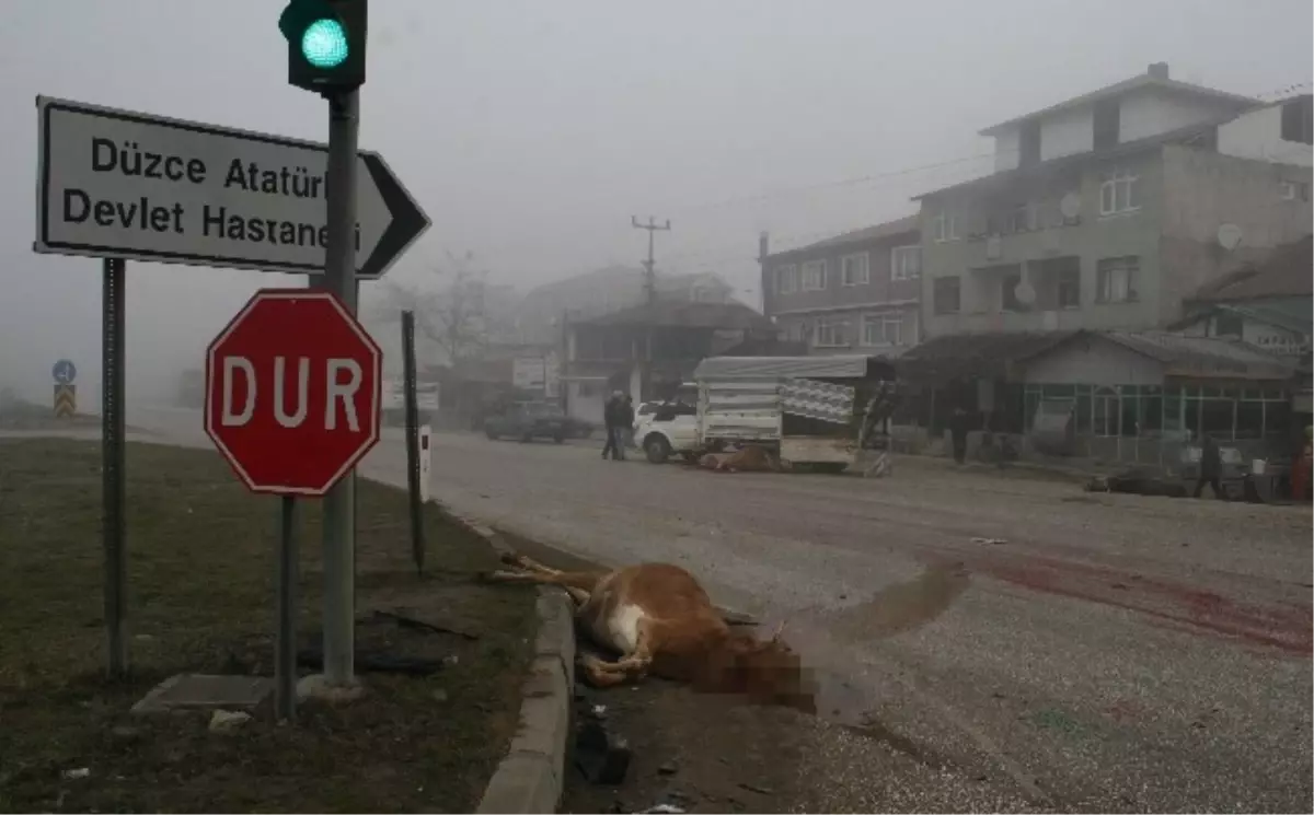 Düzce\'de Sis Kazaya Yol Açtı