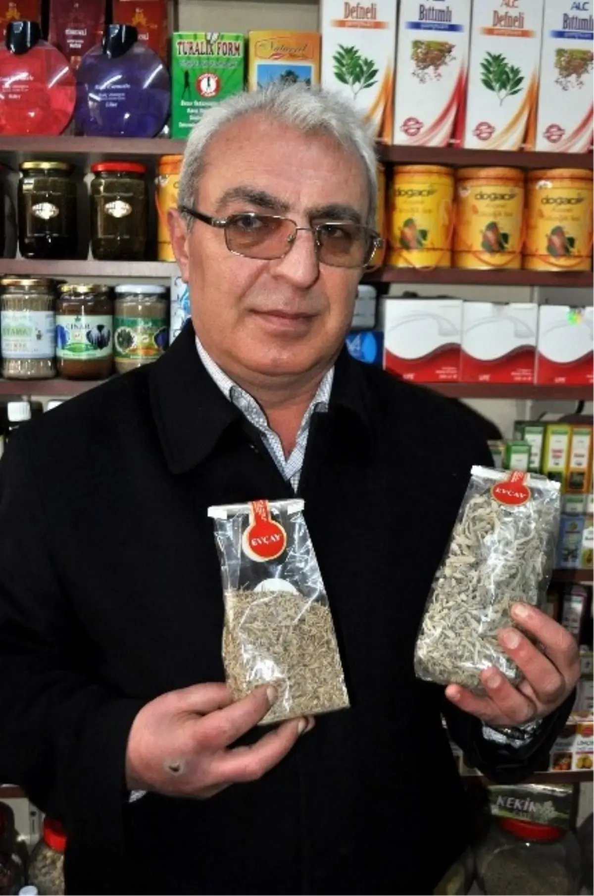 Grip Salgını Aktarlara İlgiliyi Artırdı