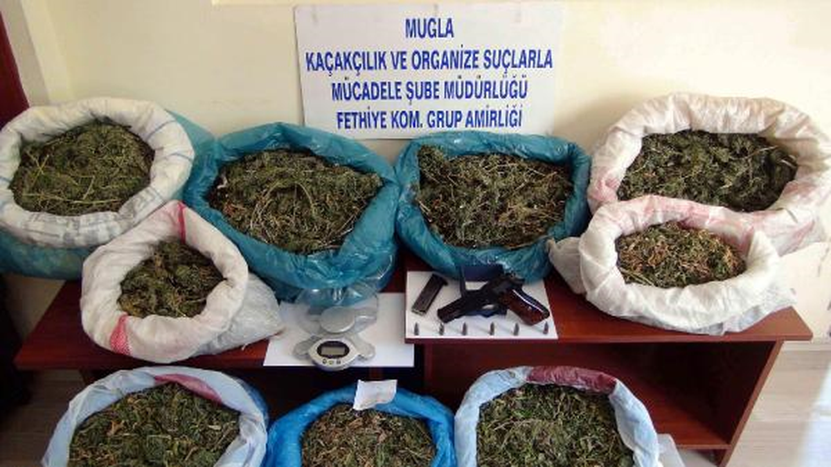 Muğla Polisinden 3 İlde Uyuşturucu Operasyonu