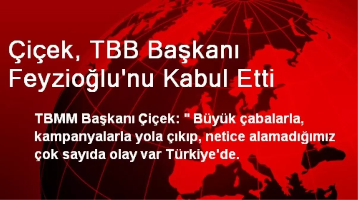 Çiçek, TBB Başkanı Feyzioğlu\'nu Kabul Etti