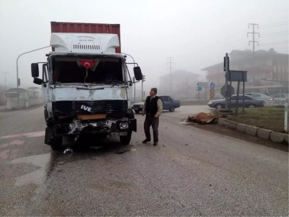 Tır Kırmızı Işıkta Duran Araçlara Çarptı: 3 Yaralı