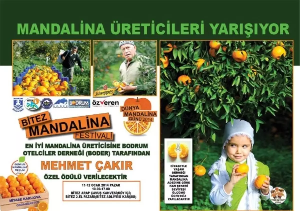 Bodrum Mandalin Festivali Hazır