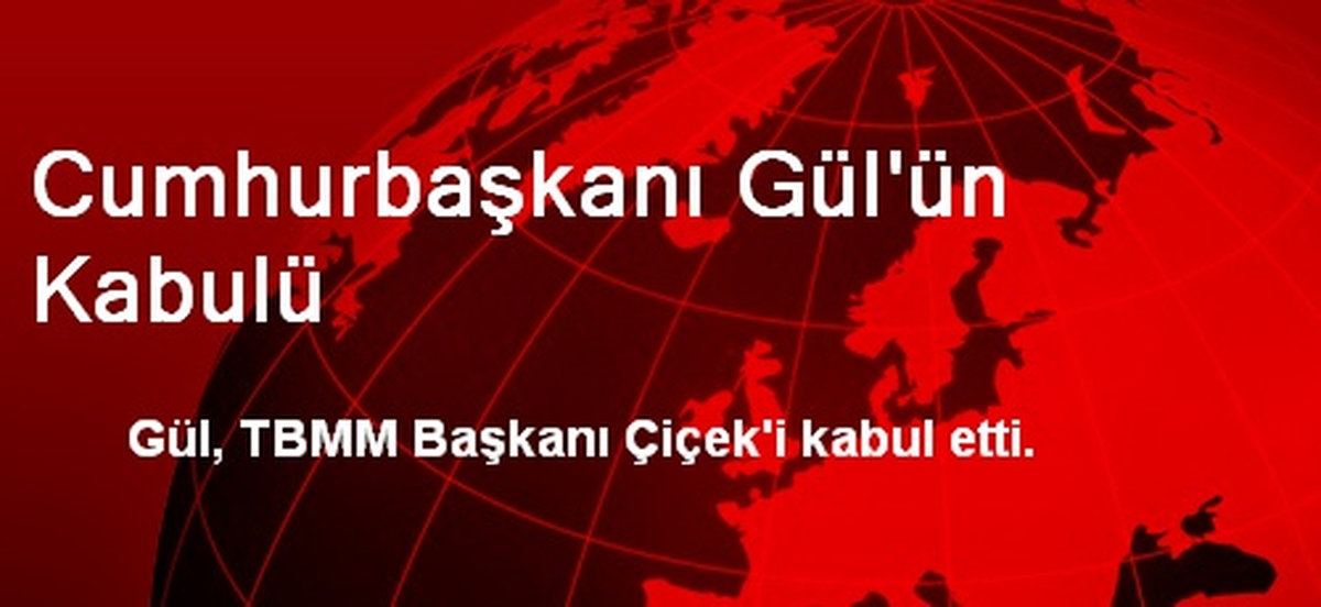 Cumhurbaşkanı Gül\'ün Kabulü