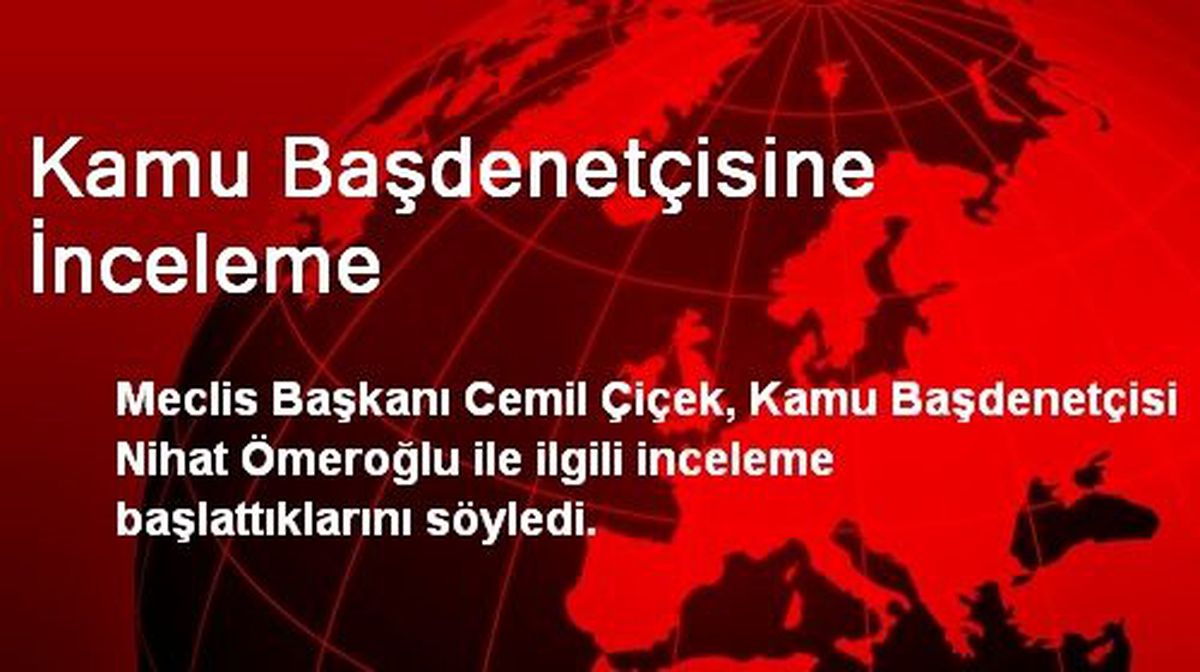 Kamu Başdenetçisine İnceleme