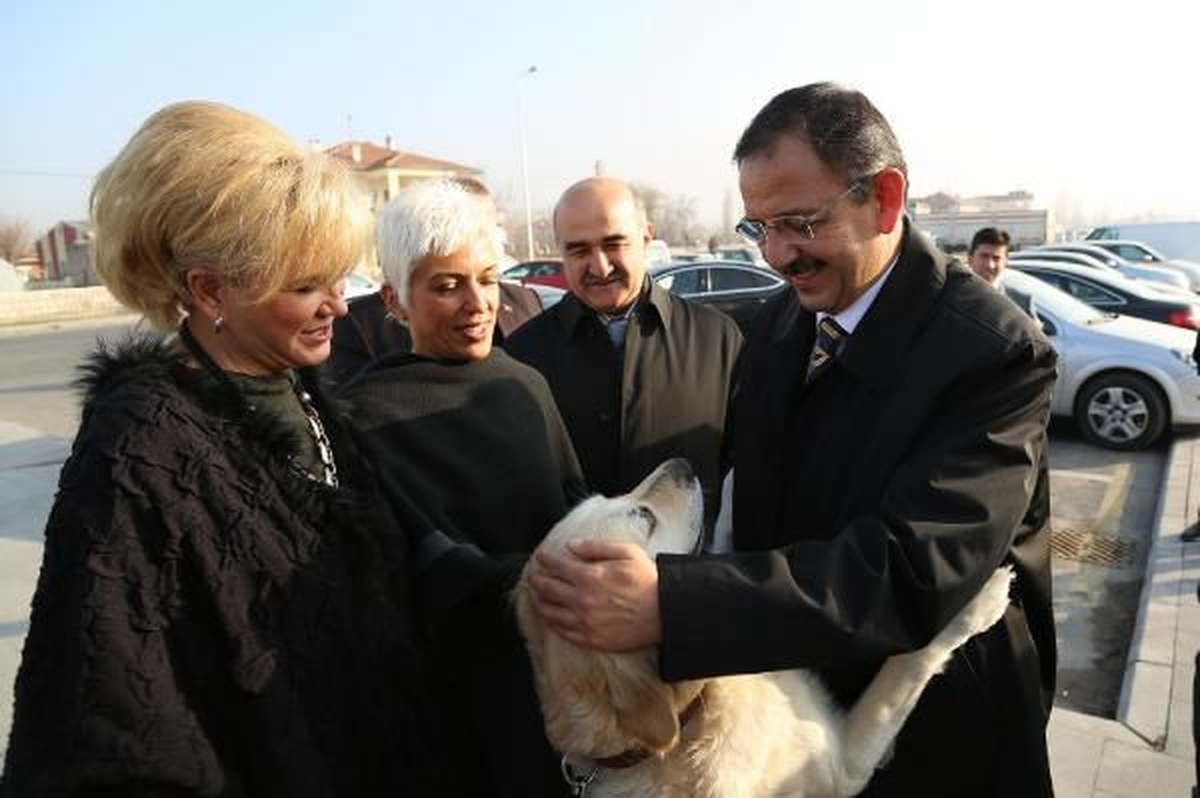 Mehmet Özhaseki Hayvan Severlerle Buluştu